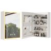 FCH White Particleboard LED Mirror Cabinet (20*28 inches), Acrylic Frame, 1 Door, 4 Shelves, with Time & Temperature Display, Three-color Lighting