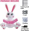 3.8 FT Easter Inflatable Cute Bunny Outdoor Decorations, Easter Blow up Banner Bunny Yard Decorations Build-in Flashing LED Lights