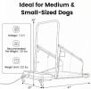 Dog Treadmill for Small to Medium Dogs with Remote Control LCD Display Adjustable Speeds Quiet Operation 2-in-1 Walking & Running Mode