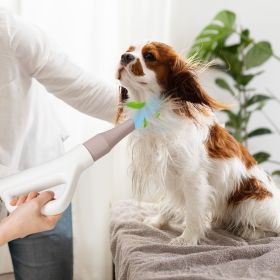 Dog & Cat Hair Blower with Negative Ion Function and Adjustable Temperature.