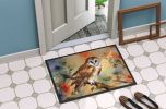 NEW Barn Owl Doormat Front Door Mat Indoor Outdoor Rugs for Entryway, Non Slip Washable Low Pile, 18H X 27W