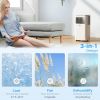 Small Portable AC 8000 BTU, Dehumidifier, Remote Control, 24-Hour Timer, Window Mount Kit for Bedroom, Cream