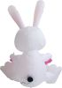 3.8 FT Easter Inflatable Cute Bunny Outdoor Decorations, Easter Blow up Banner Bunny Yard Decorations Build-in Flashing LED Lights