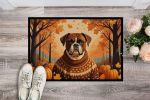 Boxer Fall Doormat Front Door Mat Indoor Outdoor Rugs for Entryway, Non Slip Washable Low Pile, 24H X 36W