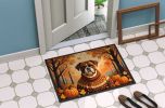 Boxer Fall Doormat Front Door Mat Indoor Outdoor Rugs for Entryway, Non Slip Washable Low Pile, 24H X 36W
