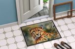 NEW Cheetah Doormat Front Door Mat Indoor Outdoor Rugs for Entryway, Non Slip Washable Low Pile, 18H X 27W