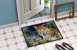 NEW Leopard Doormat Front Door Mat Indoor Outdoor Rugs for Entryway, Non Slip Washable Low Pile, 18H X 27W