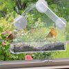 Acrylic Small Bird Cage Medium Size Transparent Plexiglass Pet Feeder Outdoor Suction Bird Feeder