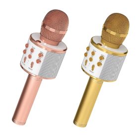 5 Core Microphone Wireless Karaoke Mic With Speaker 3 in 1 Portable Bluetooth Microfono Inalambrico (SKU: WM SPK COPPER+GLD)